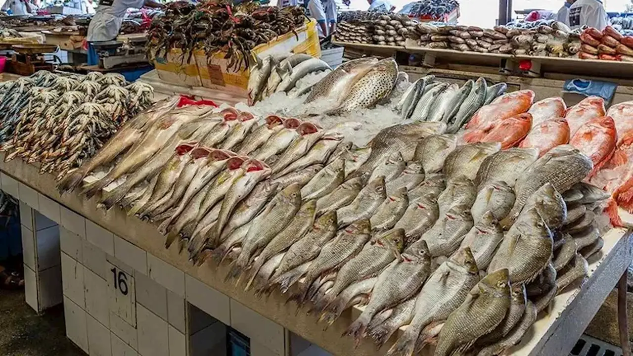 أسعار الأسماك في سوق العبور اليوم.. تراجع ملحوظ في أسعار المكرونة السويسي