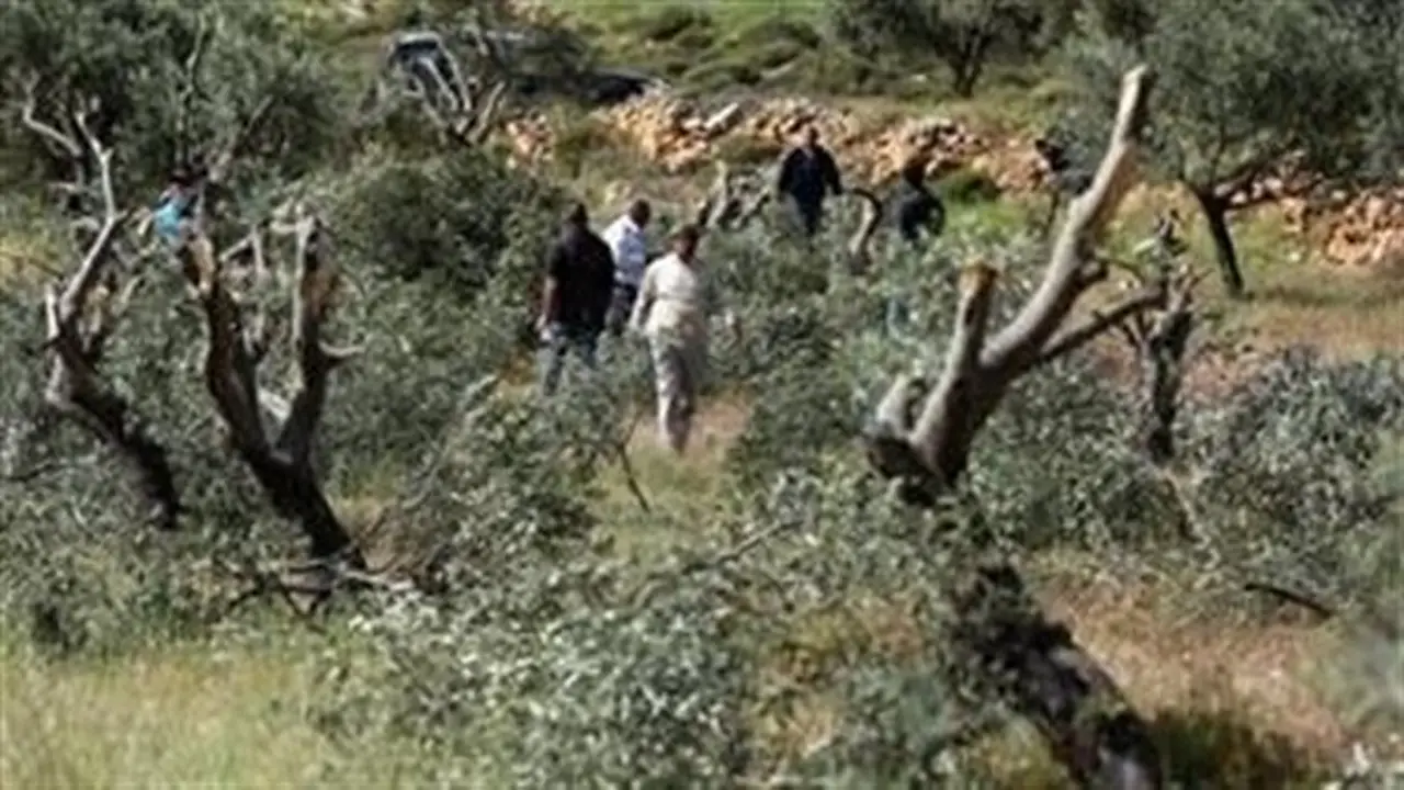 إصابة 4 فلسطينيين نتيجة اعتداء مستوطنين في شمال الضفة الغربية