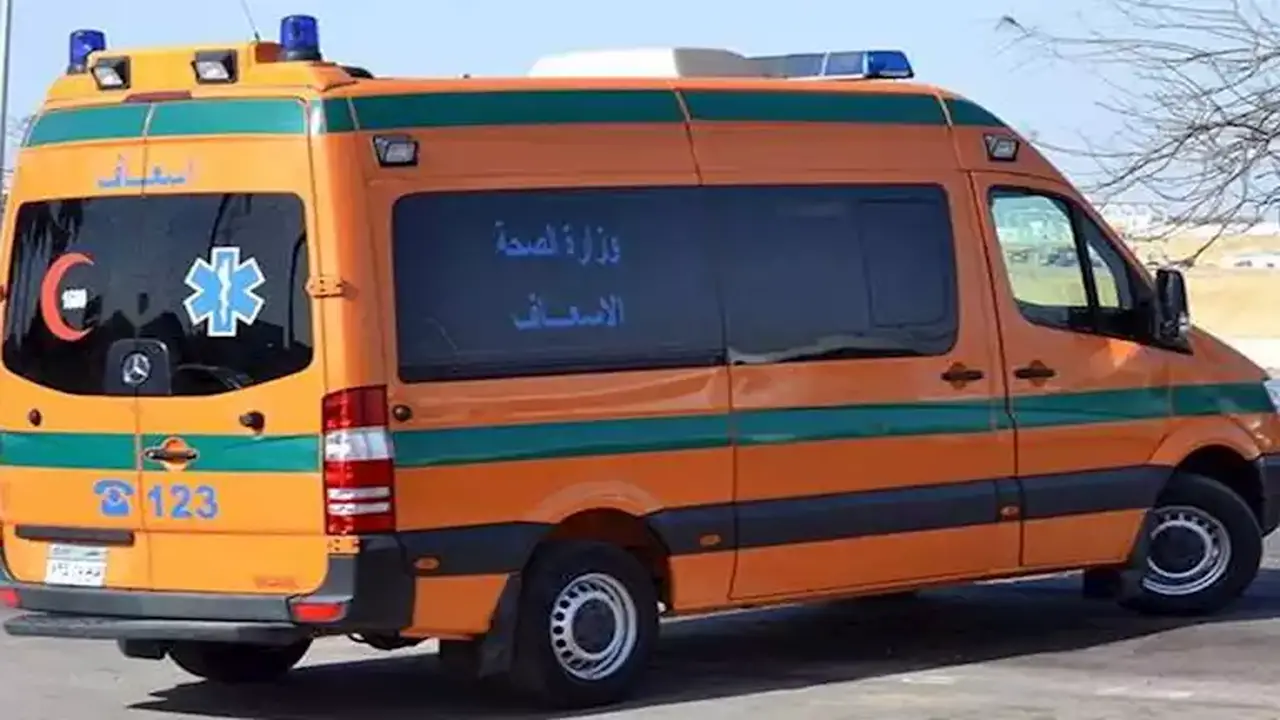 إصابة شاب إثر انقلاب شاحنة قرب مطار شرق العوينات في الوادي الجديد
