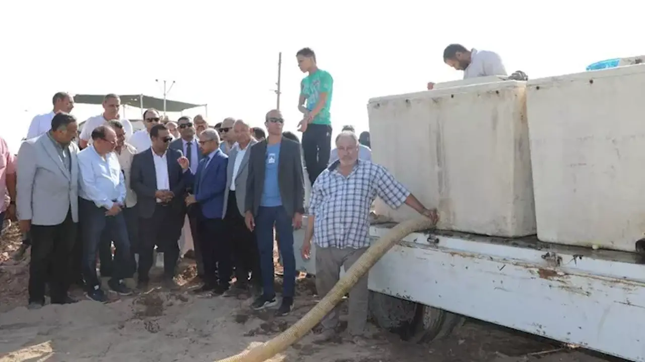 إطلاق 250 ألف زريعة من سمك البلطي في نهر بني سويف