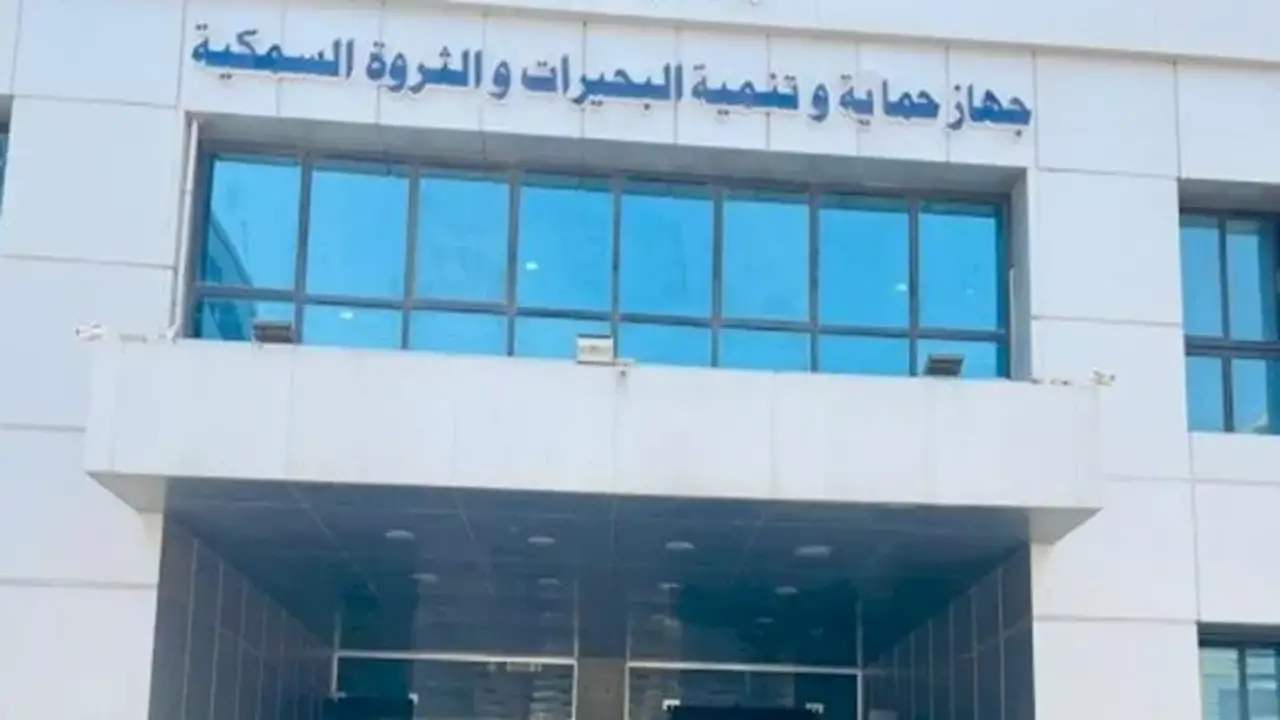 إطلاق أكثر من 15 مليون زريعة أسماك لتعزيز الإنتاج والأمن الغذائي