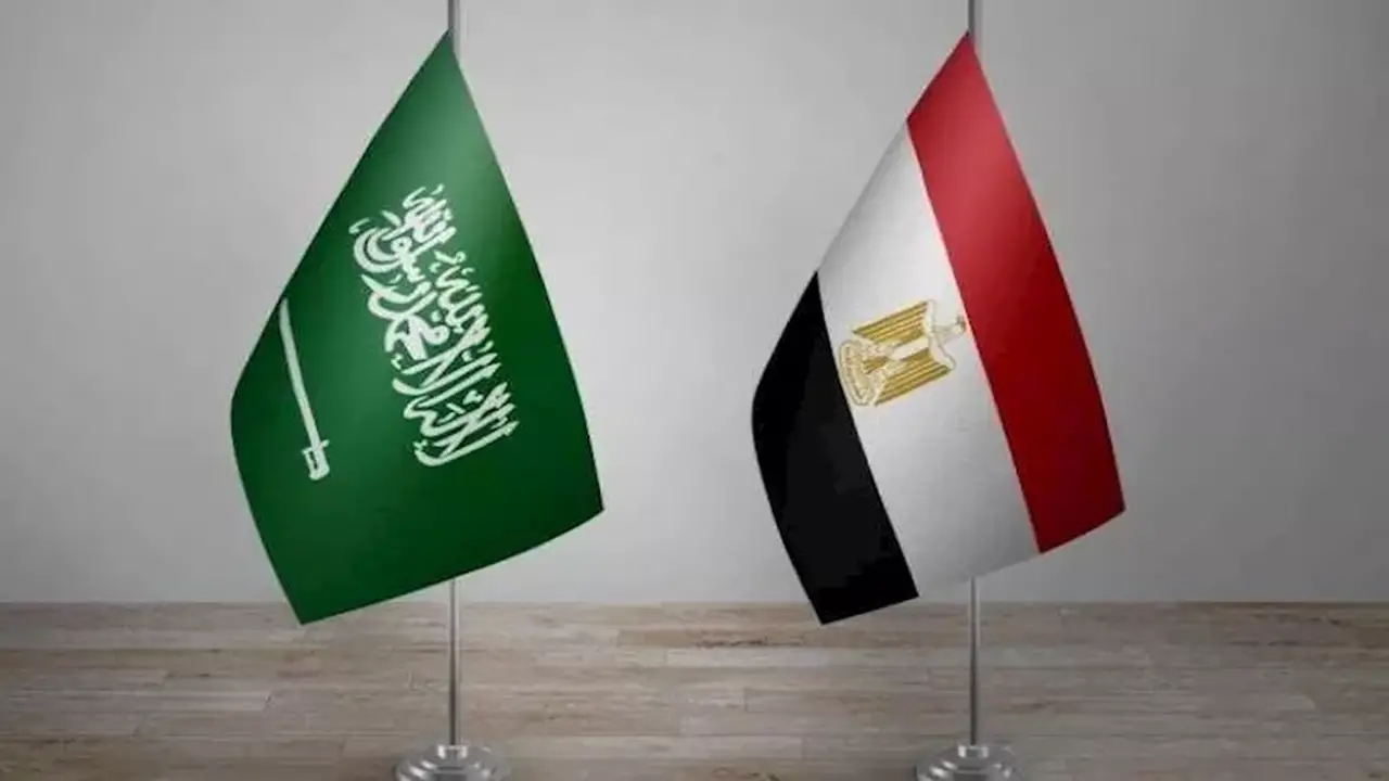 اتصال مصري سعودي يؤكد دعم أمن الملاحة في مضيق هرمز ويرفض التصعيد الإقليمي