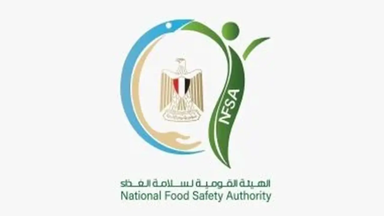 ارتفاع الصادرات الغذائية المصرية إلى 175 ألف طن في أسبوع.. السعودية تتصدر الأسواق المستقبلة