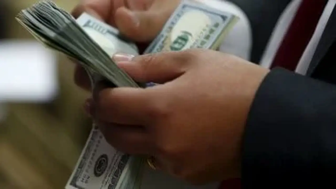 استقرار سعر الدولار مقابل الجنيه في بداية تعاملات الثلاثاء