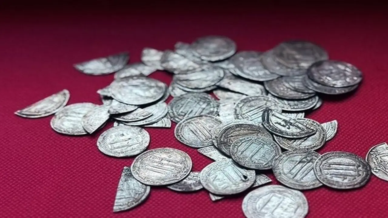 اكتشاف كنز من الدراهم الفضية الإسلامية في كالينينغراد الروسية