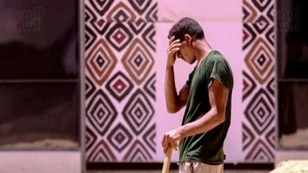 الأرصاد الجوية تحذر: الحرارة المحسوسة تصل إلى 37 درجة مئوية في القاهرة اليوم