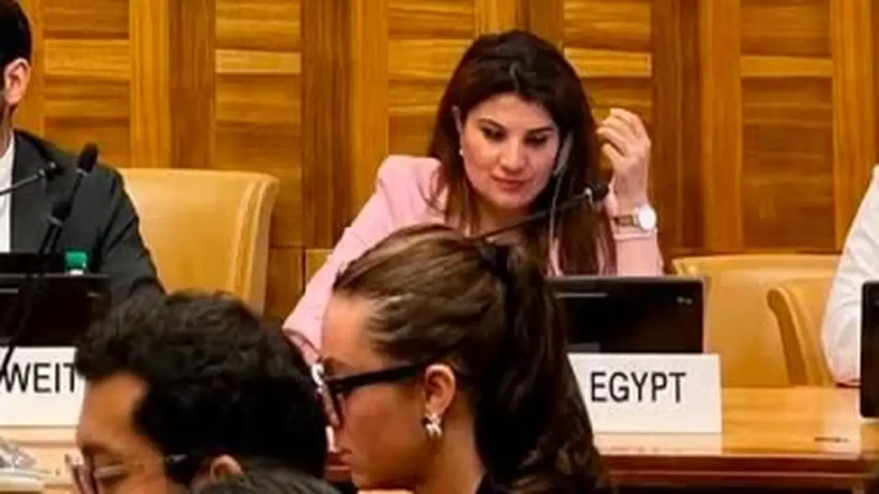 الأمم المتحدة تعتمد قرارًا مصريًا لحماية العاملين في المجال الإنساني