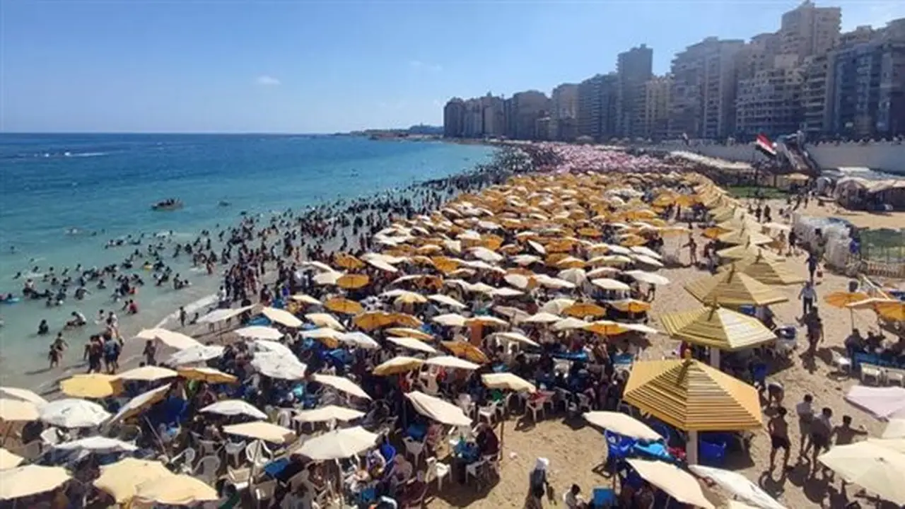 الإسكندرية تستقبل ملايين المصطافين عبر رحلات اليوم الواحد