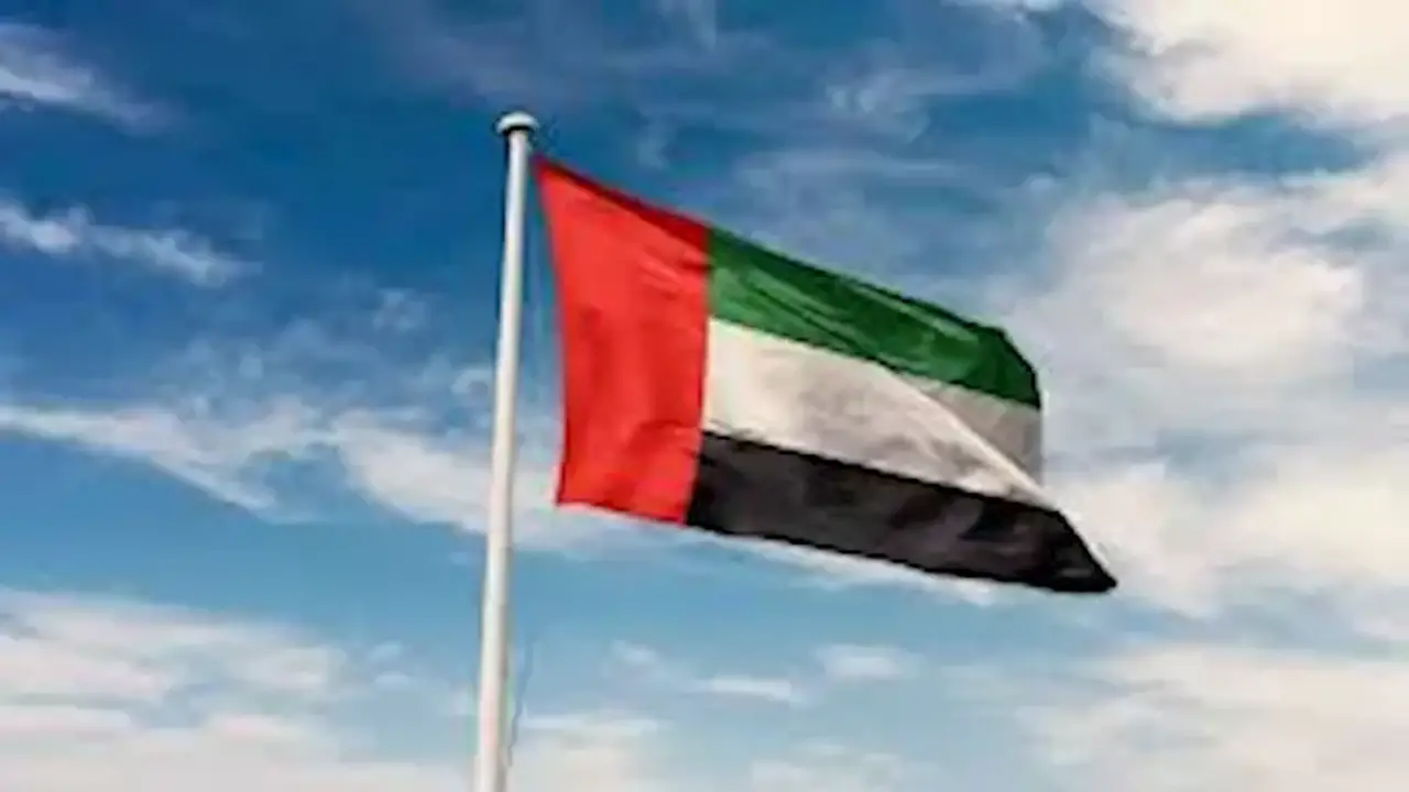 الإمارات تدين تصريحات الحوثي تجاه السعودية وتدعو لحماية الملاحة البحرية