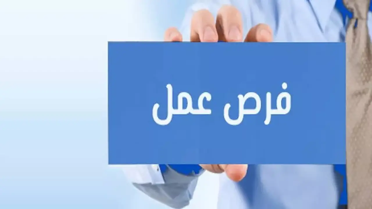 6000 فرصة عمل للشباب في ملتقى التوظيف القومي بالشرقية يوم الاثنين المقبل
