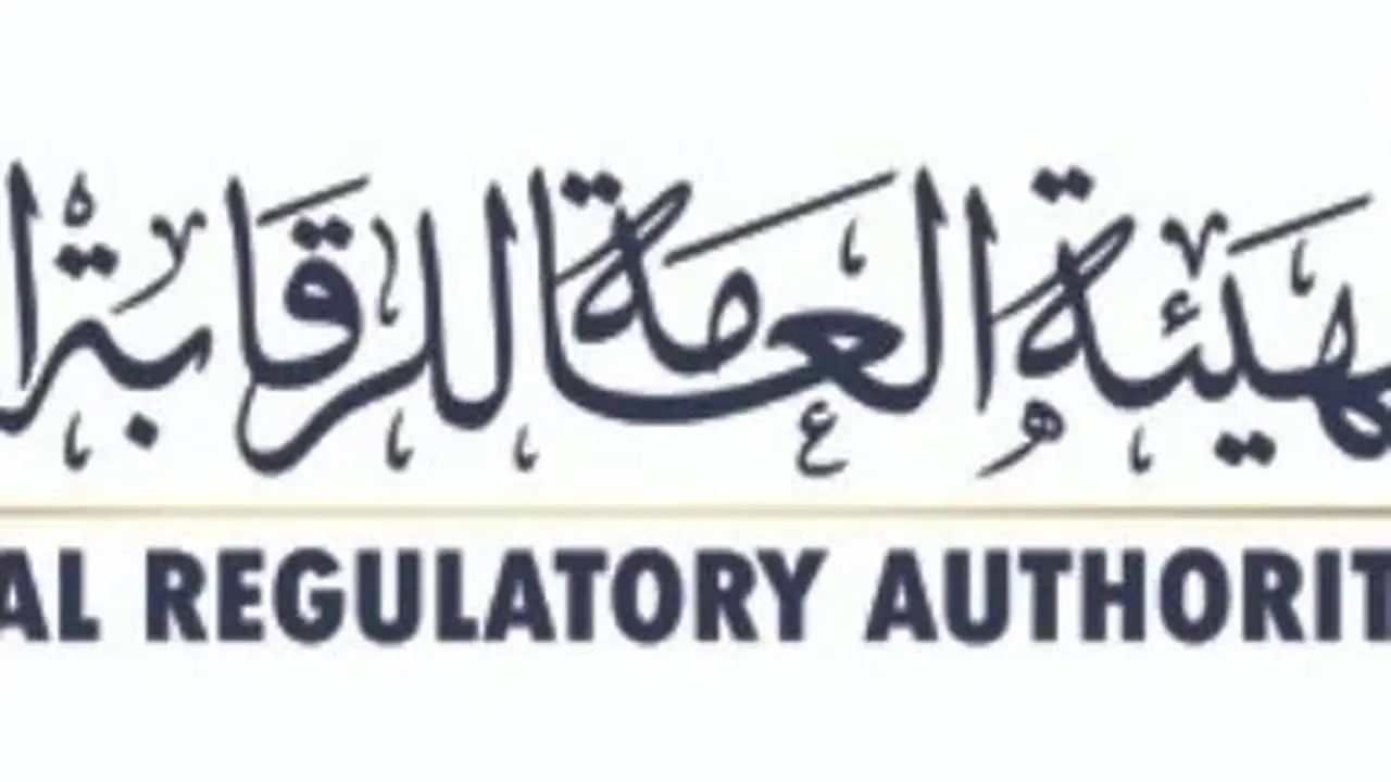 آلية التدريب قبل الطرح.. خطة “الرقابة المالية” لإعداد 20 شركة حكومية للمستثمرين