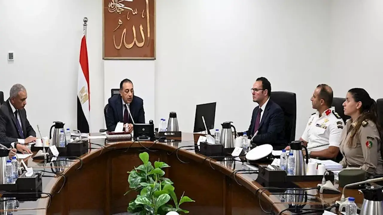 التنمية المحلية تعلن انتهاء تجهيز مراكز إيواء الحيوانات الضالة