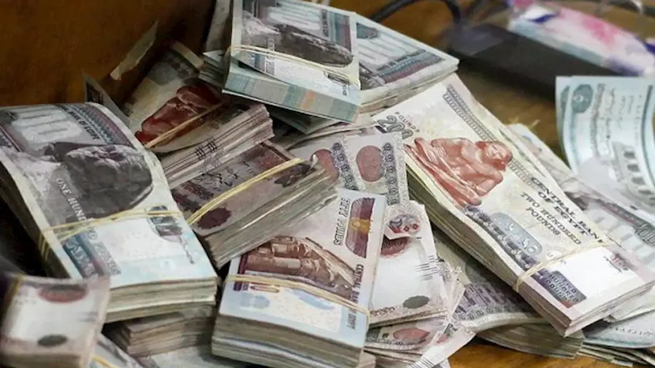 الداخلية تضبط 4 ملايين جنيه من تجار العملة وتتحفظ على 8 أطنان من الدقيق المدعم