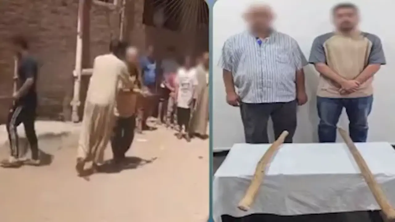 الداخلية توضح ملابسات فيديو الاعتداء على سيدتين بالعصي في البحيرة