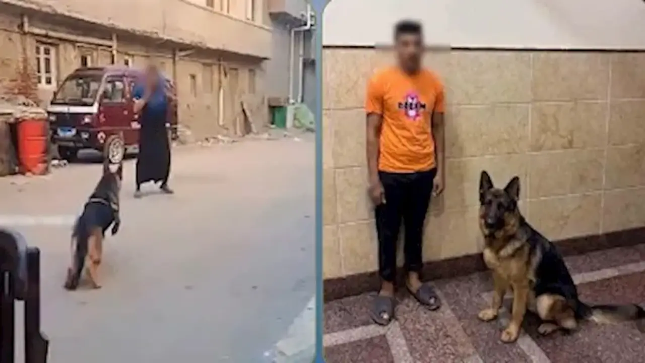 الداخلية توضح ملابسات فيديو هجوم كلب على سيدة في البحيرة