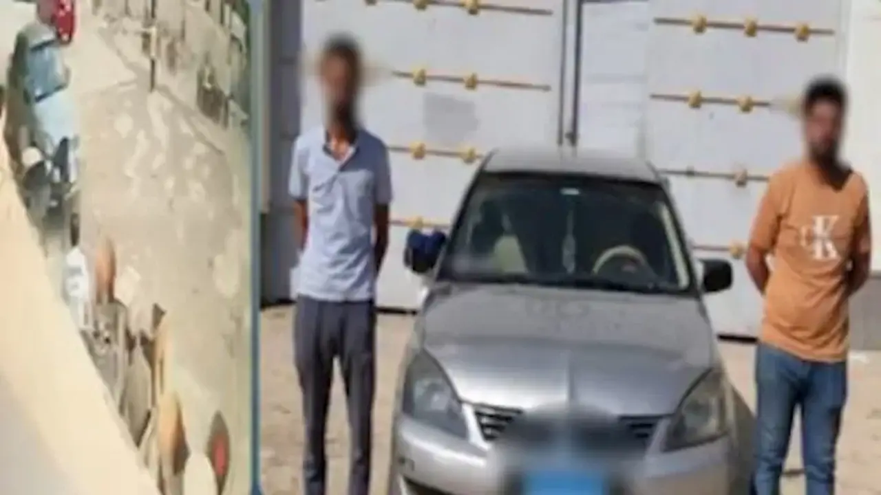 الداخلية تكشف ملابسات اقتحام مقهى بسيارة في البحيرة