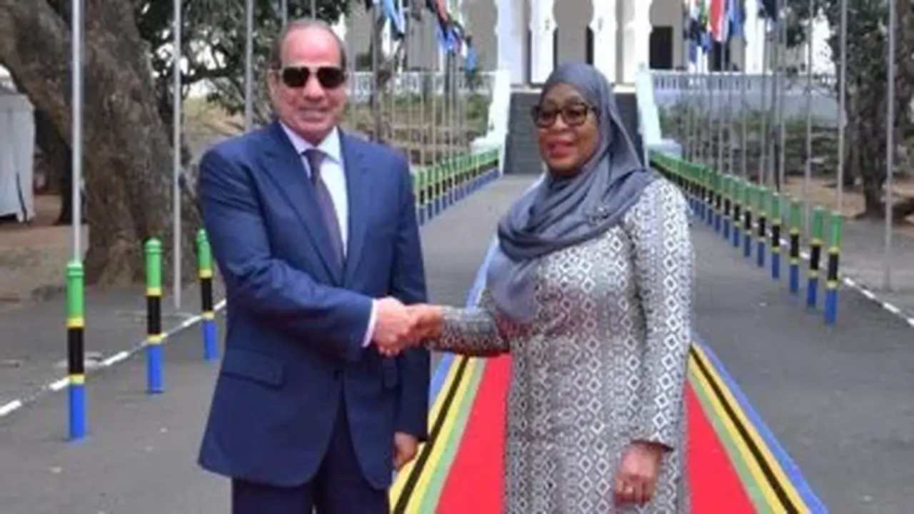 الرئيس السيسي يبحث مع رئيسة تنزانيا مقترح إنشاء خط ملاحي يربط بين ميناءي سفاجا ودار السلام
