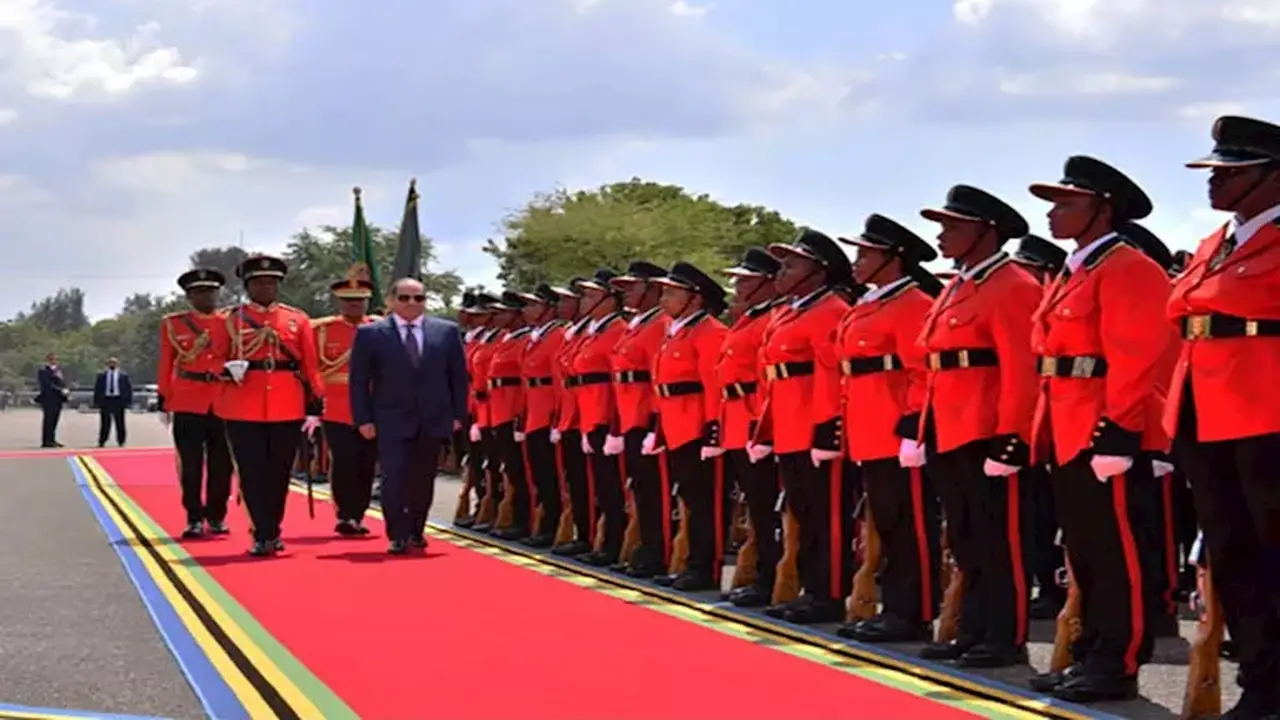 الرئيس السيسي يشيد بمواقف تنزانيا ويؤكد أهمية تعزيز دورها في دعم التعاون بين دول حوض النيل