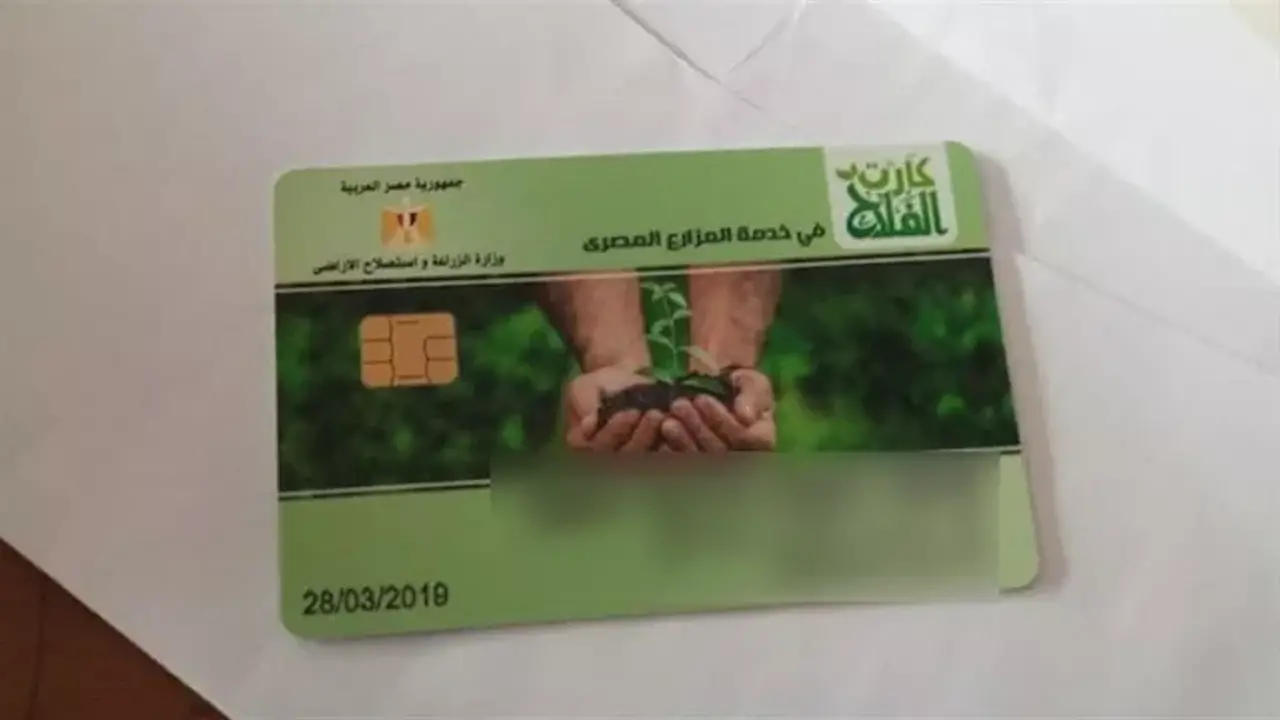 وزارة الزراعة تدرب مسؤولي كارت الفلاح لتعزيز التحول الرقمي في المحافظات