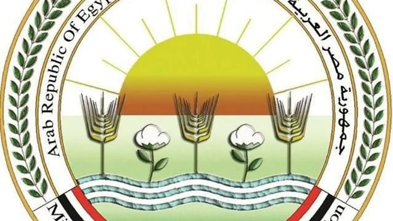 وزارة الزراعة تطلق برنامجاً تدريبياً لدعم مسؤولي كارت الفلاح في المحافظات