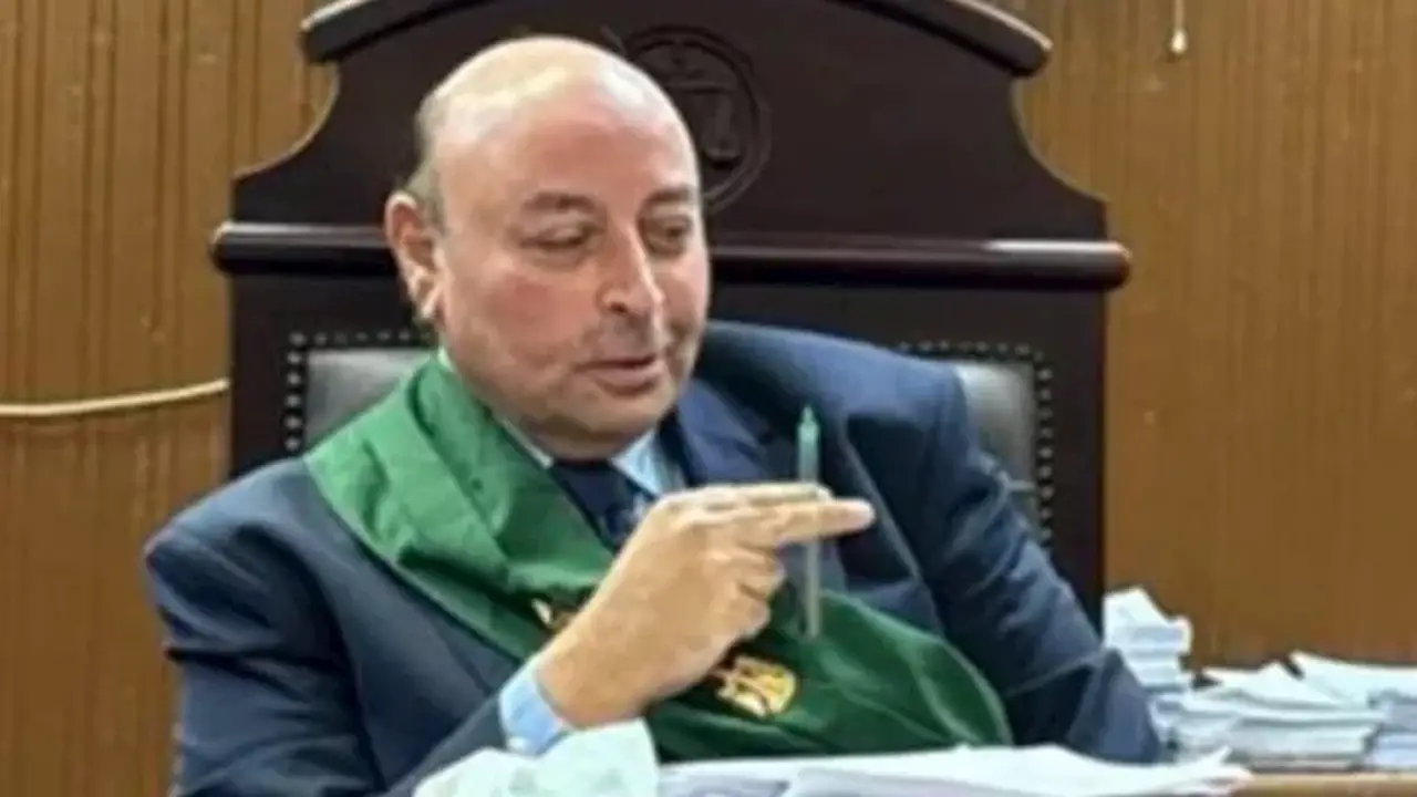 محكمة الجيزة تُلزِم مالك شركة معدات ثقيلة بدفع غرامة 50 ألف جنيه بسبب التهرب الضريبي