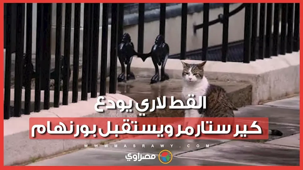 لاري القط الشهير يستقبل سابع رئيس وزراء في داونينج ستريت