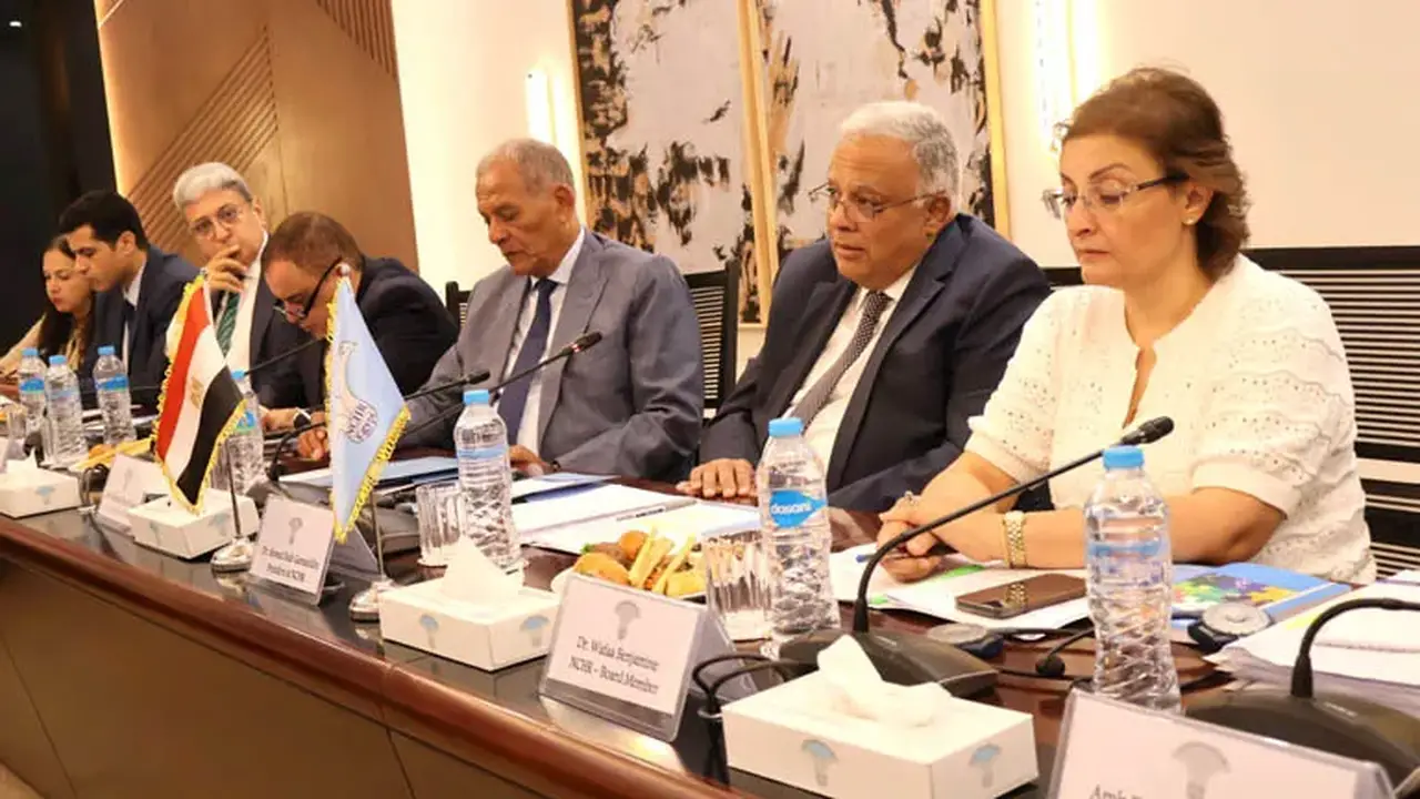 المجلس القومي لحقوق الإنسان يناقش مع البرلمان الأوروبي قضايا الحقوق والحريات
