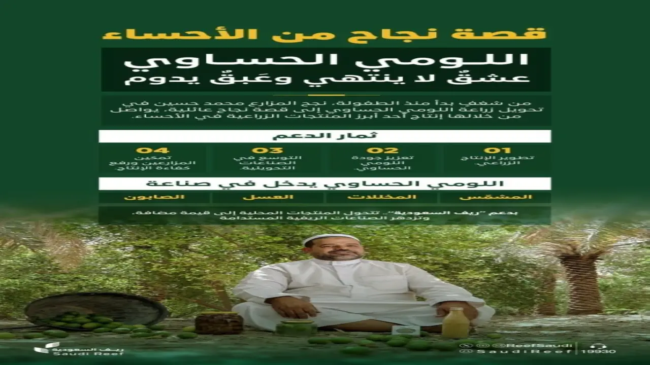 اللومي الحساوي: موروث زراعي يزدهر في أسواق الأحساء