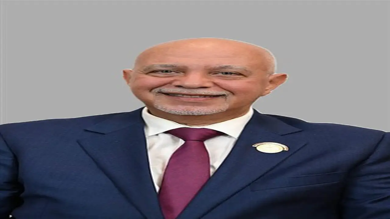 المجالس المحلية ودور الأحزاب: بوابة التنمية وتعزيز الوعي السياسي