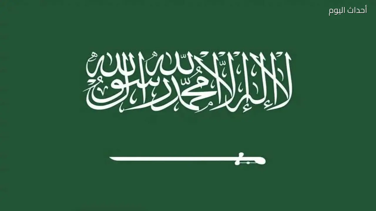 المملكة تفوز بجائزة الأمم المتحدة للخدمة العامة 2026 عن