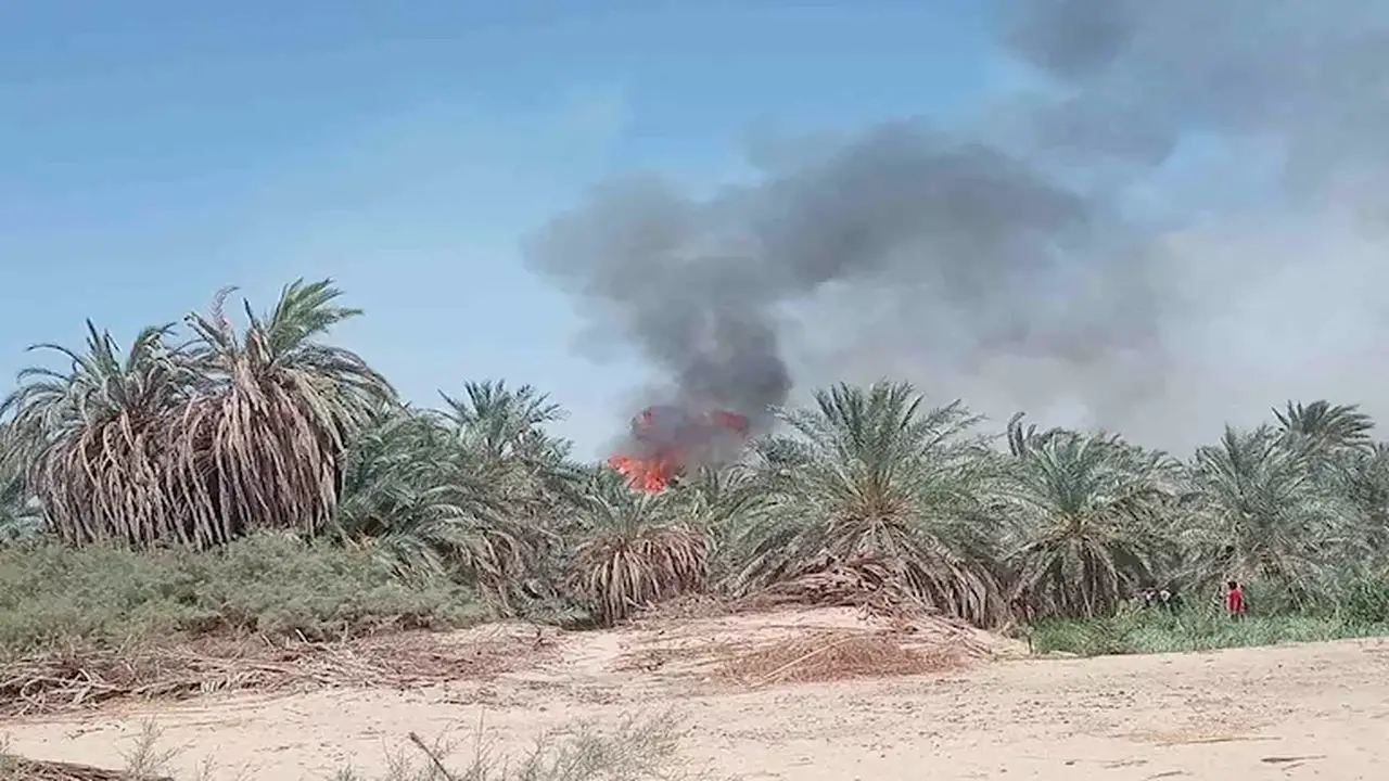 حريق يهدد المنازل في مزرعة نخيل بعزب القصر بالوادي الجديد – صور