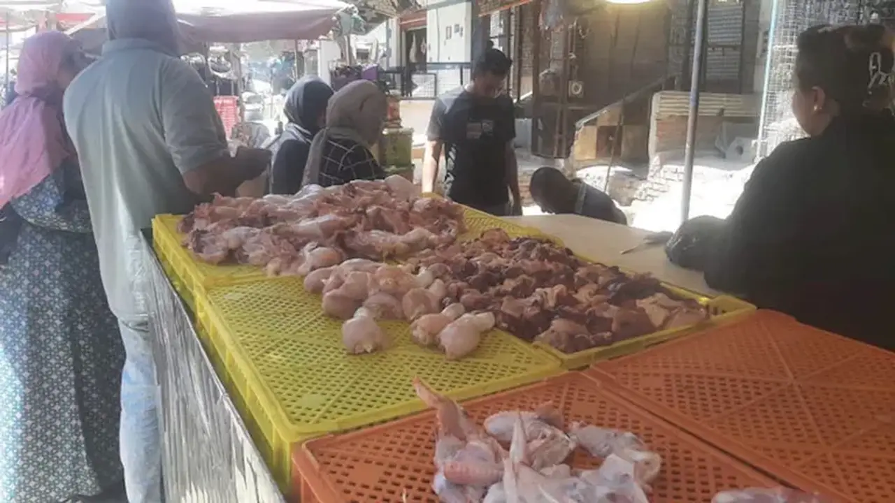 حملة تفتيشية تكشف حقن الدواجن بمادة لزيادة الوزن في القليوبية