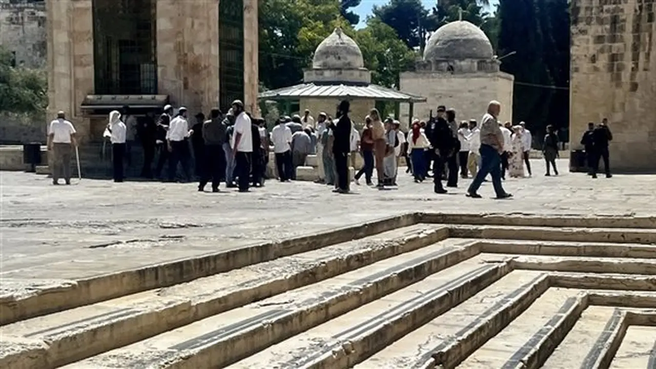 مستوطنون يقتحمون أراضي زراعية شرق رام الله ويتلفون المحاصيل بحماية الاحتلال
