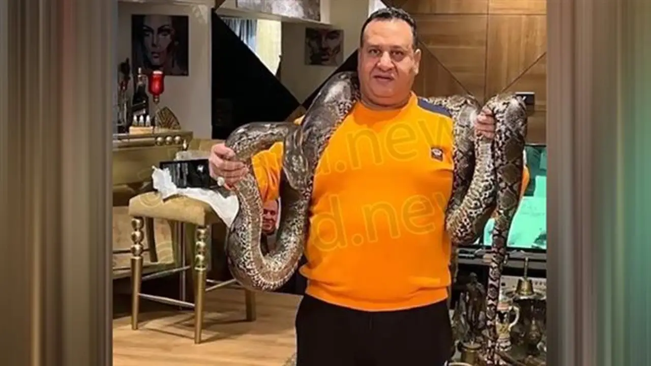 براءة صبري نخنوخ واستئناف حكم حبسه.. التفاصيل الكاملة