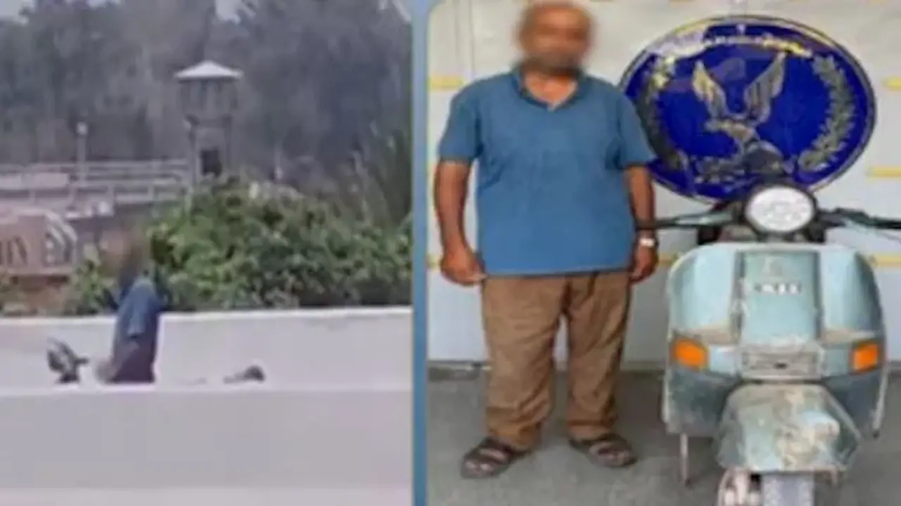 تفاصيل مثيرة حول فيديو الفعل الفاضح في الإسماعيلية: ضبط المتهم تحت تأثير المخدرات