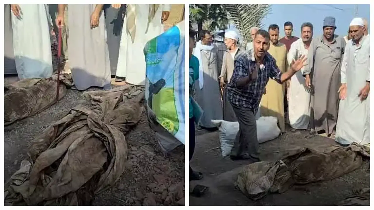 أول تعليق رسمي على أزمة مقابر عودة سالم بالشرقية بعد فيديو رفات الموتى