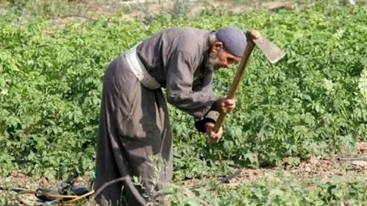 البرلمان يسعى لحل أزمة إيجارات الأراضي الزراعية بين حماية أموال الوقف ودعم الفلاحين