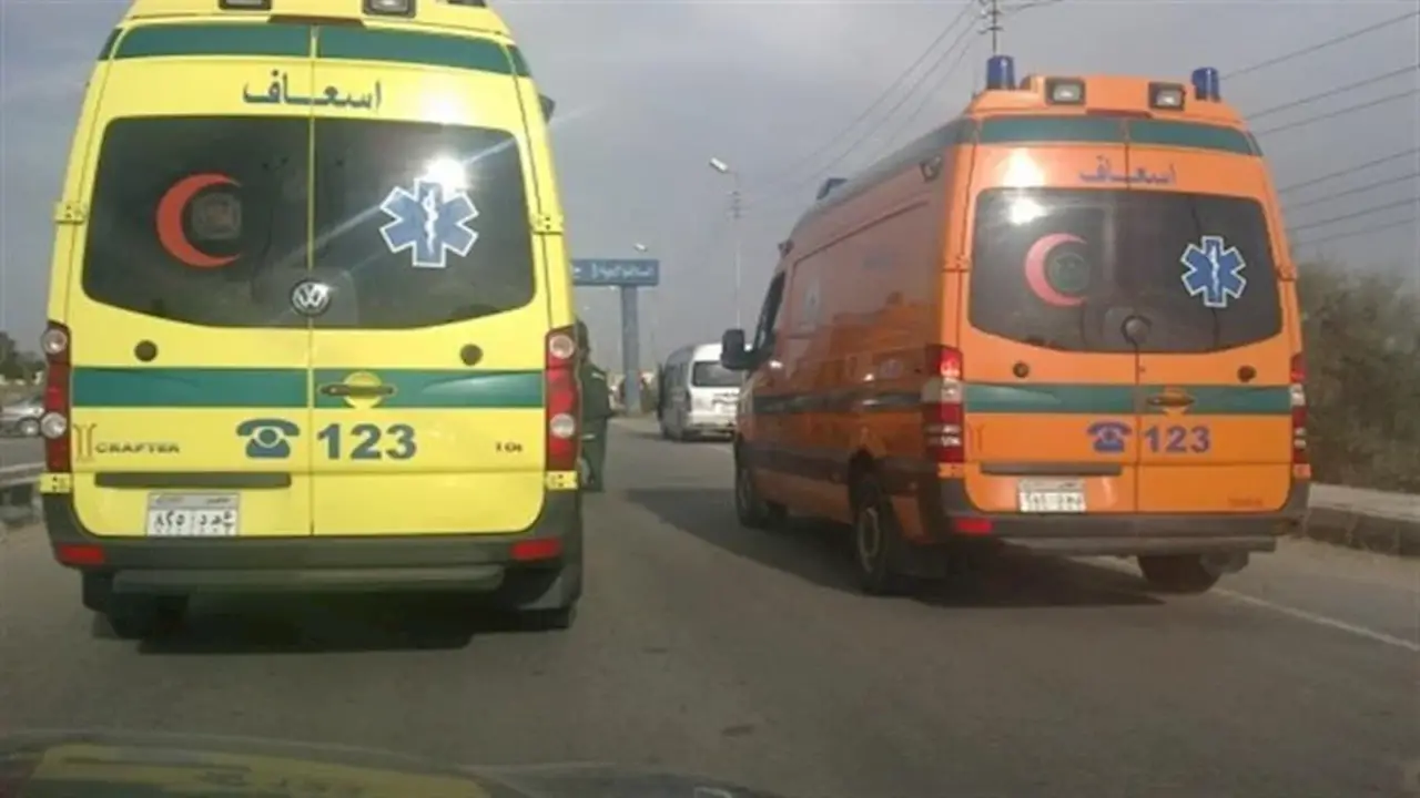 7 مصابين في حادث تصادم سيارة ملاكي وميكروباص بالبحيرة بينهم طفلة