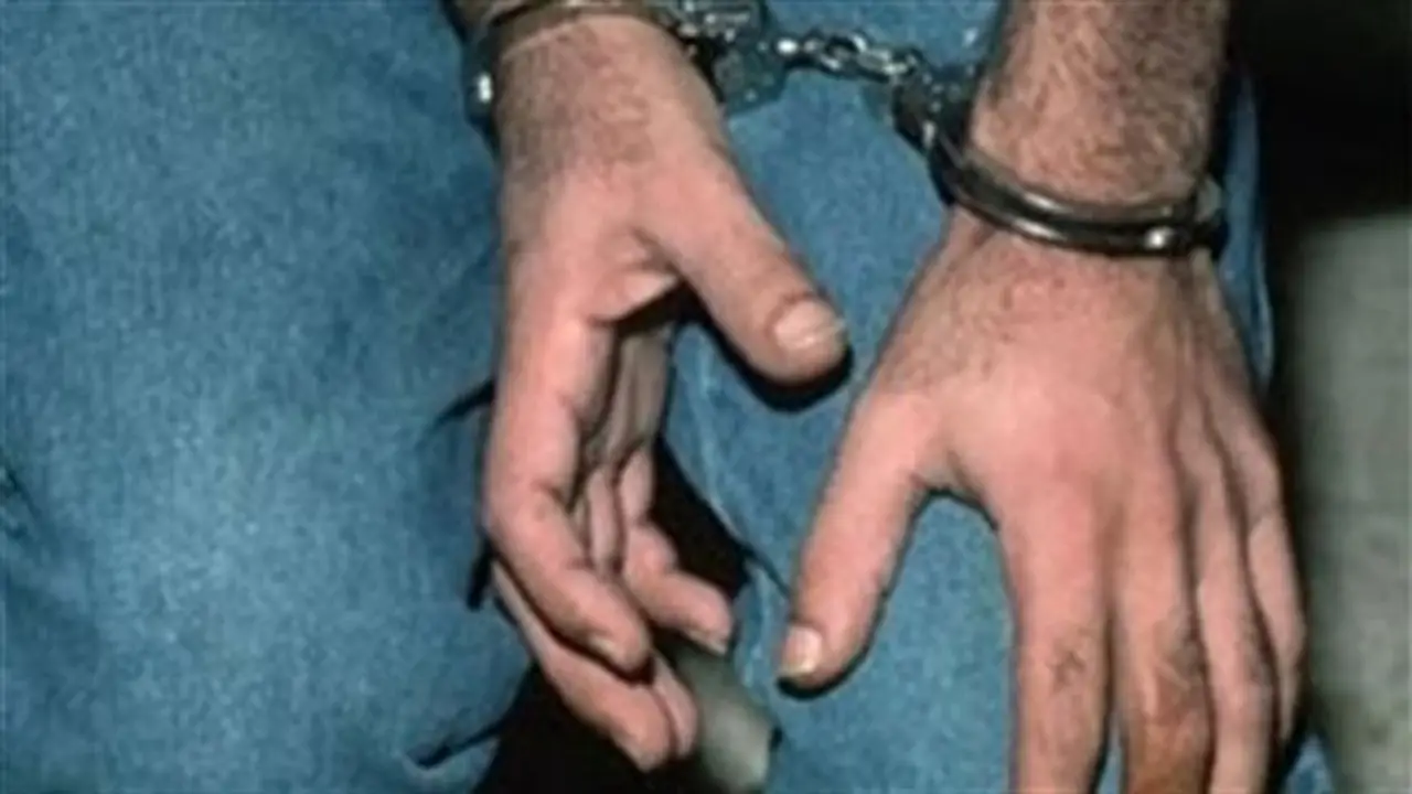 تأجيل محاكمة 7 متهمين في خلية البساتين إلى 13 سبتمبر