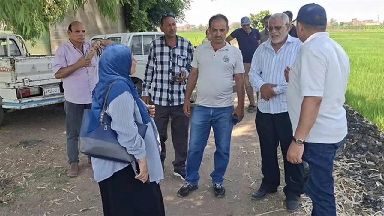 استجابة سريعة في بلبيس بعد بلاغ عن وجود ثعابين