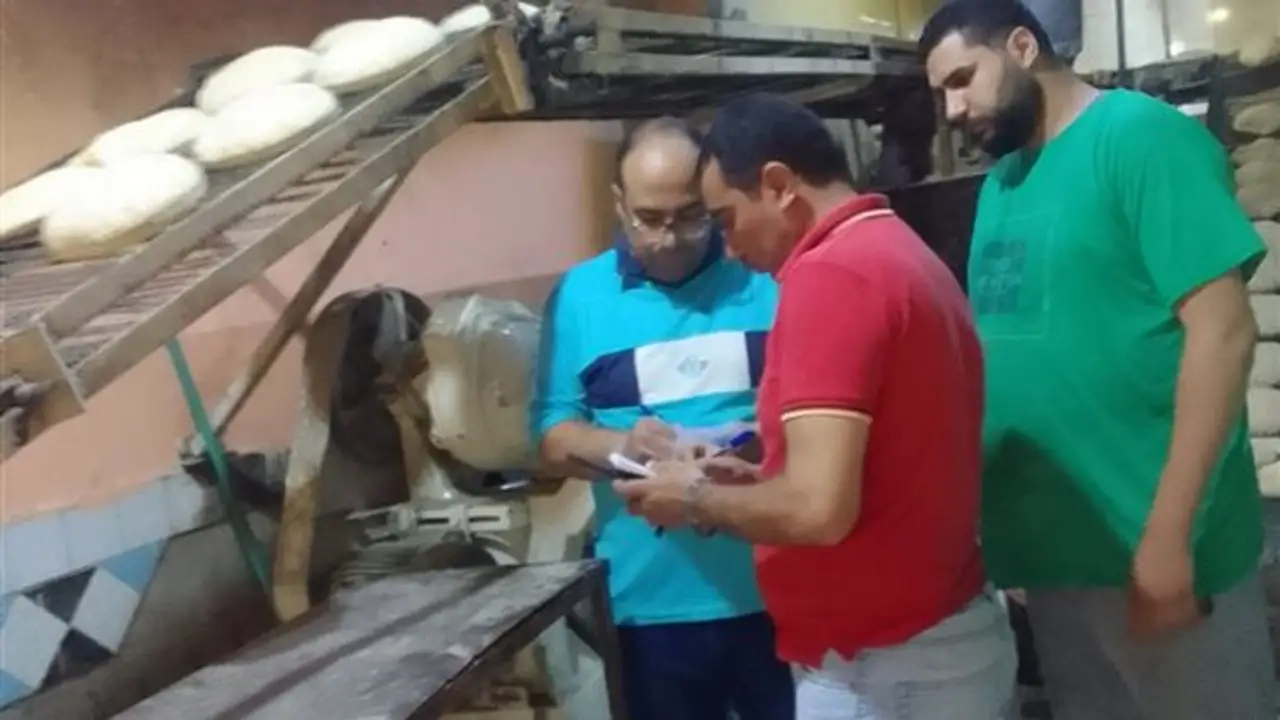حملة تفتيشية تُسفر عن تحرير 17 محضرًا تموينيًا في الدقهلية