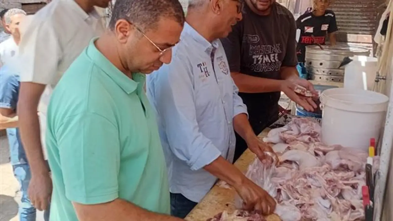 تحرير 4384 محضرًا تموينيًا في محافظة المنيا