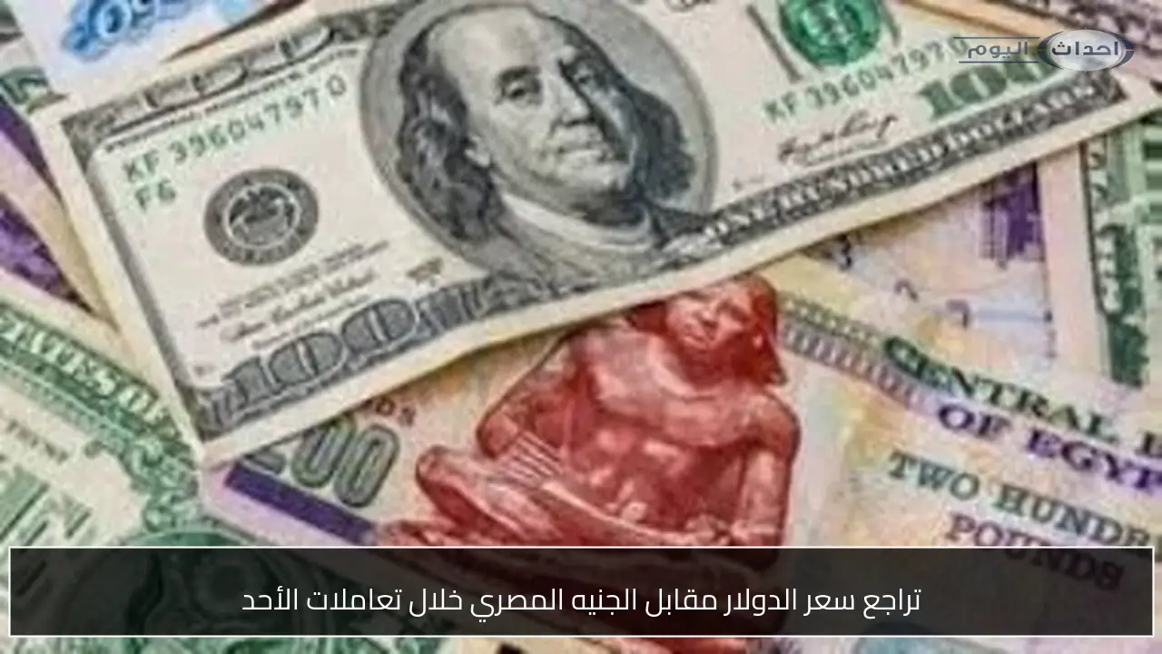 تراجع سعر الدولار مقابل الجنيه المصري خلال تعاملات الأحد