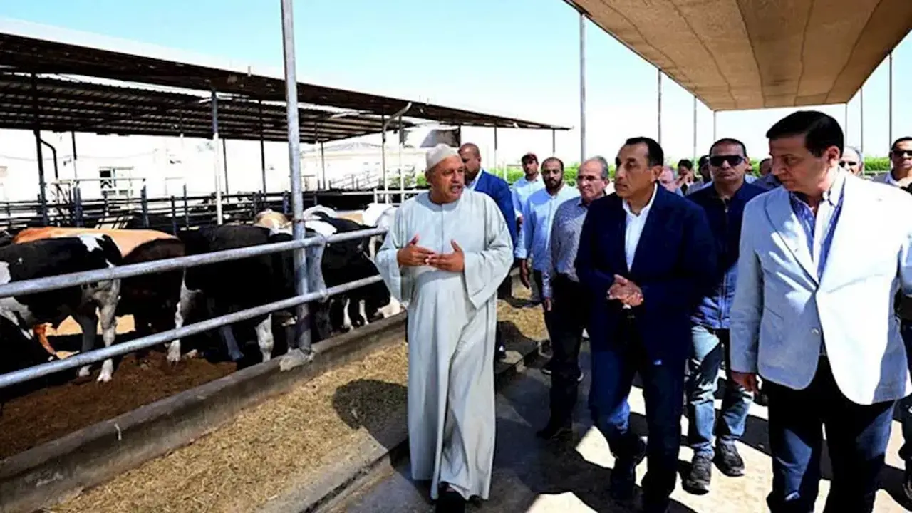 مدبولي يتفقد مزرعة العمار للإنتاج الحيواني التي تنتج 15 ألف رأس سنويًا (صور)