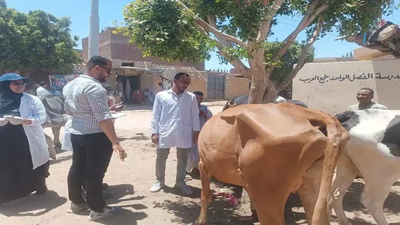 جامعة أسوان تنظم قافلة بيطرية تعالج 633 حيواناً وطائراً في الكوبانية ونجع العرب – صور
