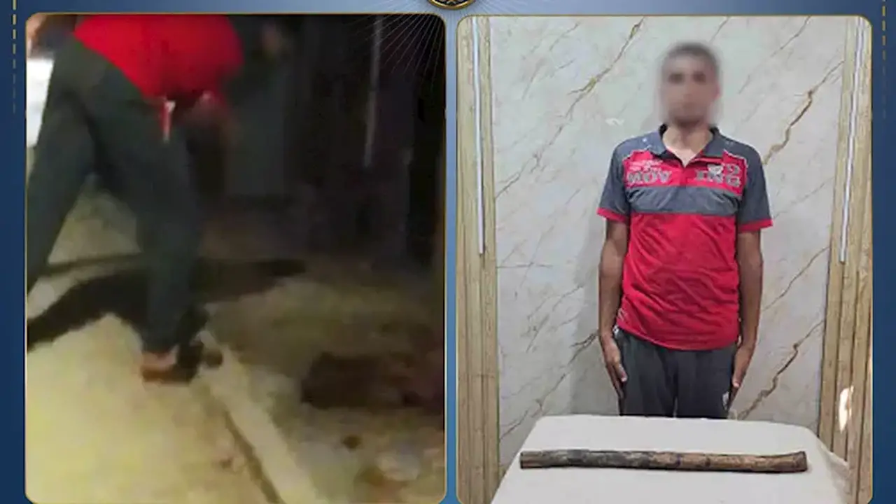 القبض على شاب بتهمة قتل كلب في الغربية بعد اعتدائه عليه بعصا خشبية