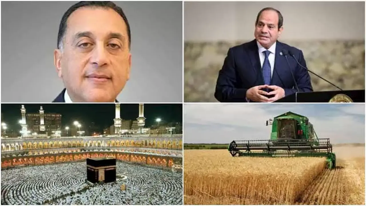 أحداث مصر في 8 ساعات: ضوابط العمرة 2026 وتوقعات انخفاض أسعار الطماطم