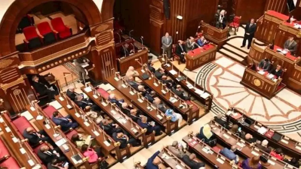 عضو مجلس الشيوخ أميرة قنديل: فرحة المصريين تحتاج إلى استقبال يليق بالمنتخب الوطني