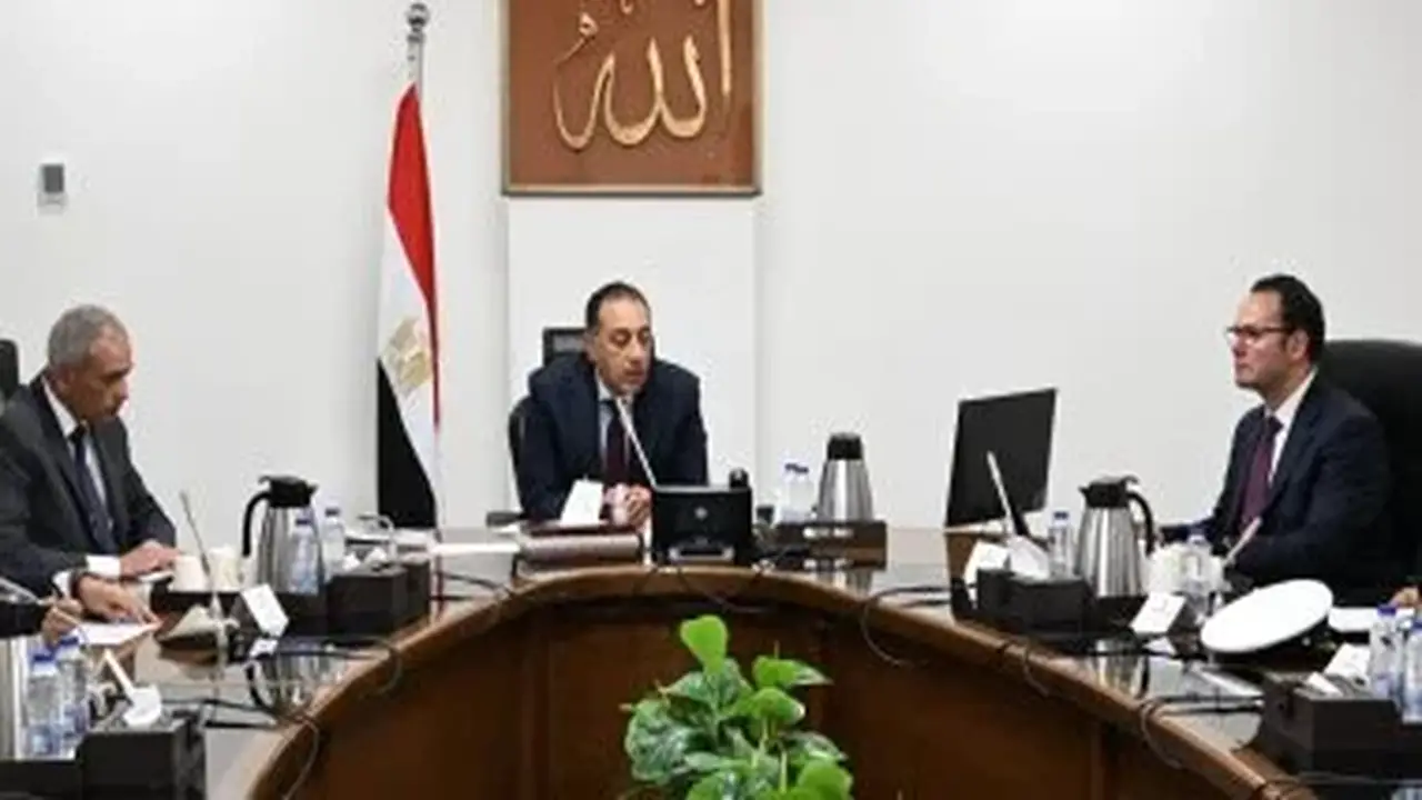 رئيس الوزراء: مواجهة ظاهرة الكلاب الضالة تتطلب استراتيجيات علمية ومنظمة