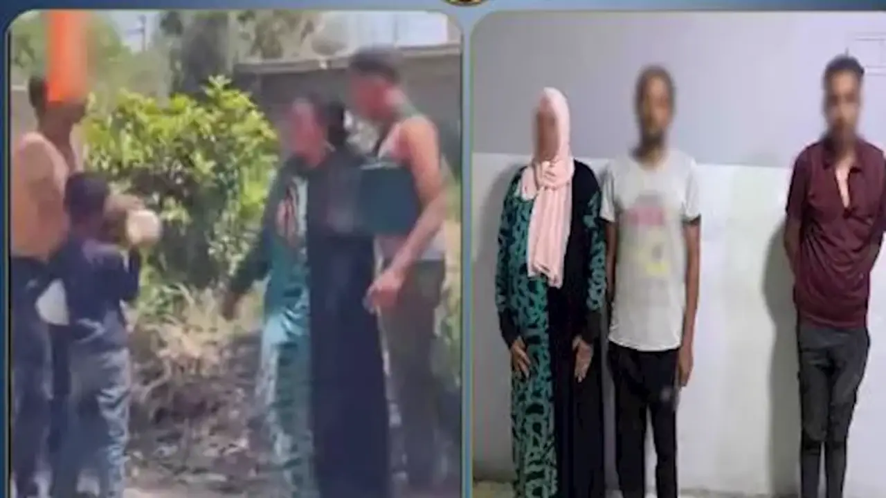 سيدة تضرب جارها في البحيرة: تفاصيل فيديو مشاجرة الجيران المثير للجدل